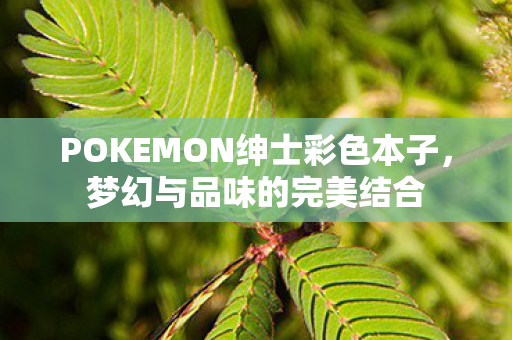 POKEMON绅士彩色本子图片