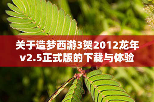 关于造梦西游3贺2012龙年v2图片
