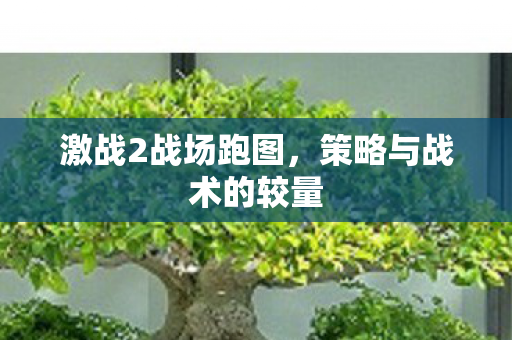 策略与战术的较量图片