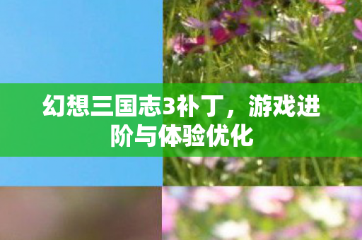 游戏进阶与体验优化图片