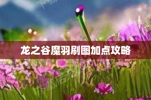 龙之谷魔羽刷图加点攻略图片