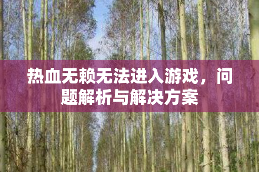热血无赖无法进入游戏图片