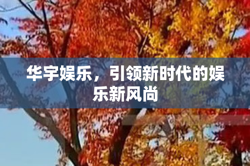 引领新时代的娱乐新风尚图片