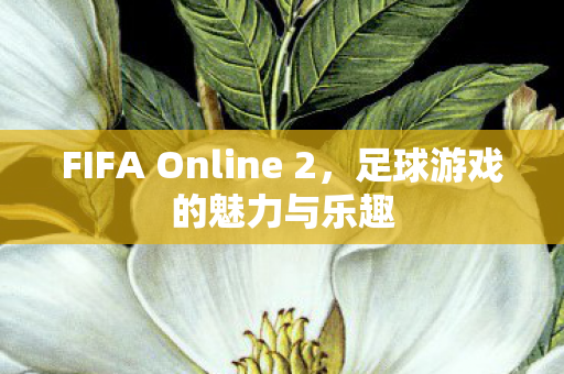 FIFA Online 2图片