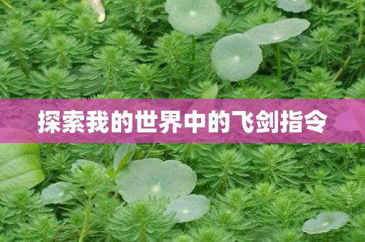 探索我的世界中的飞剑指令图片
