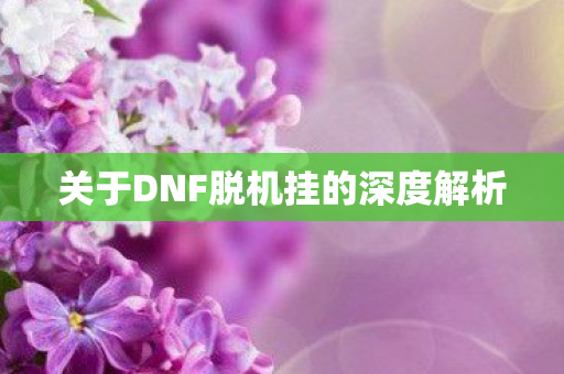 关于DNF脱机挂的深度解析图片