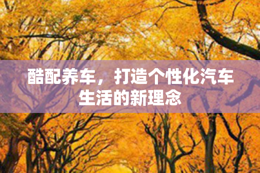 打造个性化汽车生活的新理念图片