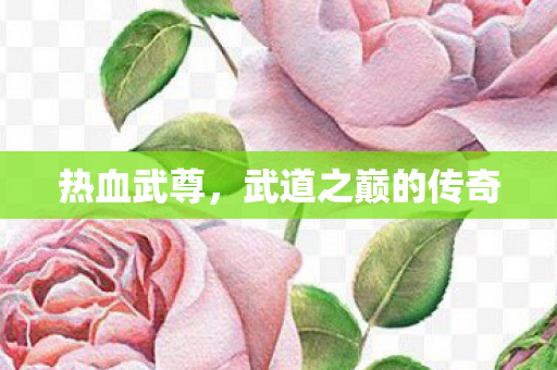 武道之巅的传奇图片