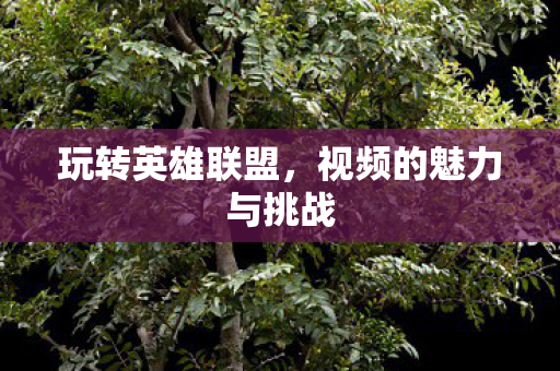 视频的魅力与挑战图片