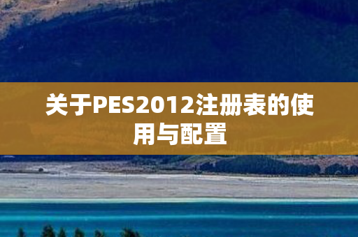 关于PES2012注册表的使用与配置图片