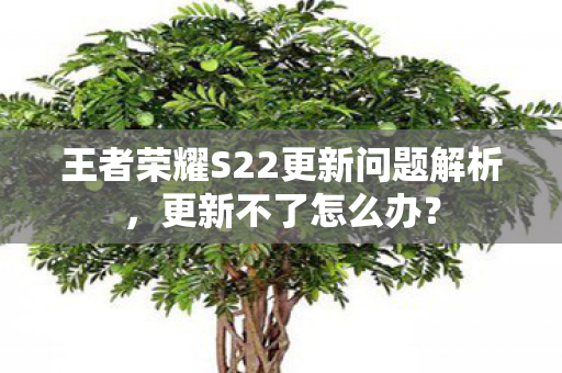 王者荣耀S22更新问题解析图片