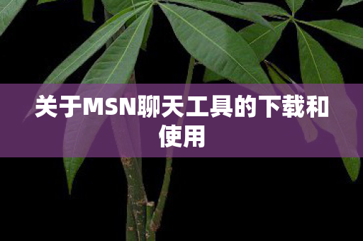 关于MSN聊天工具的下载和使用图片
