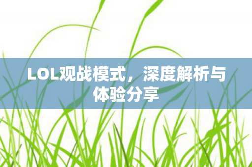 深度解析与体验分享图片