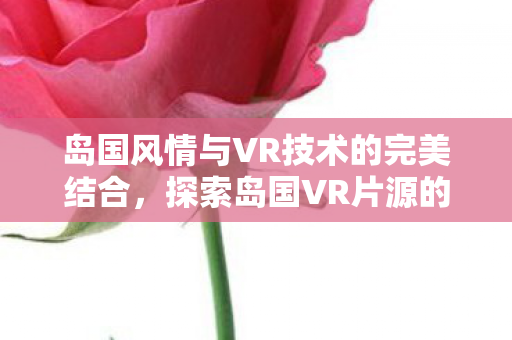 岛国风情与VR技术的完美结合图片