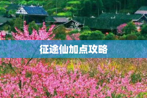 征途仙加点攻略图片