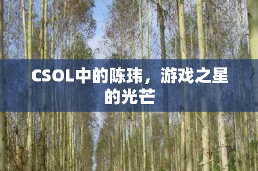 CSOL中的陈玮图片