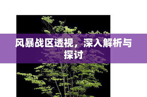 深入解析与探讨图片
