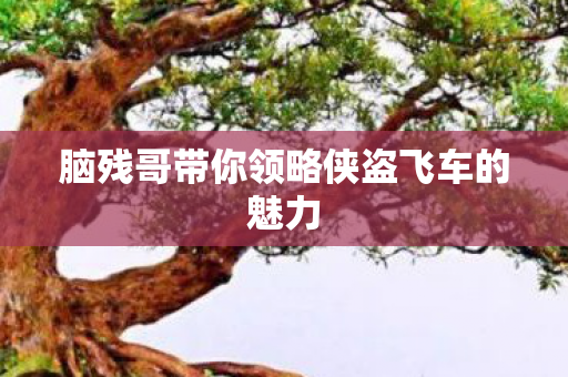 脑残哥带你领略侠盗飞车的魅力图片