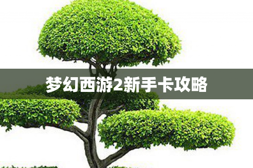 梦幻西游2新手卡攻略图片