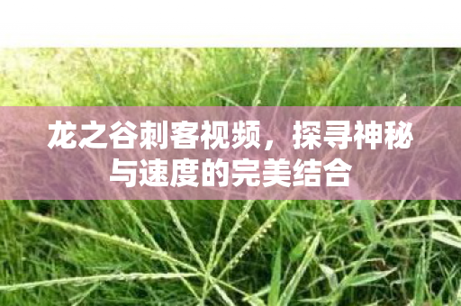 探寻神秘与速度的完美结合图片