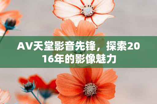 探索2016年的影像魅力图片