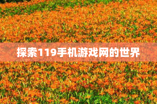 探索119手机游戏网的世界图片