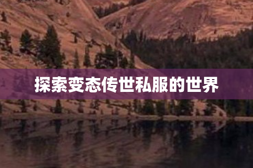 探索变态传世私服的世界图片