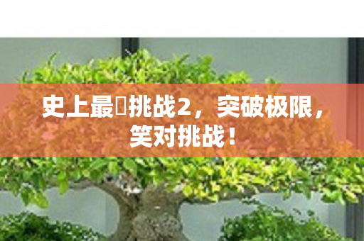 史上最囧挑战2图片