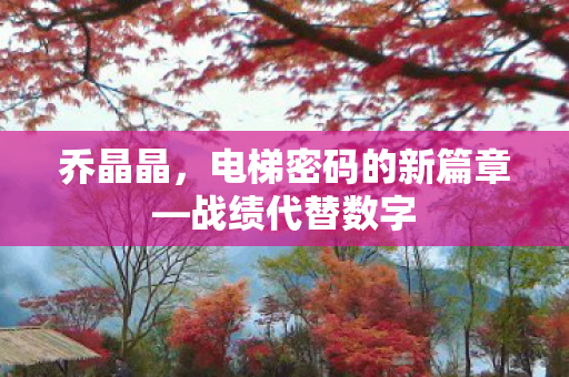 电梯密码的新篇章图片