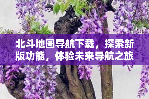 北斗地图导航下载图片