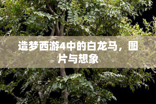 造梦西游4中的白龙马图片