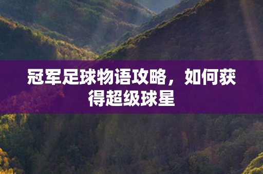 冠军足球物语攻略图片