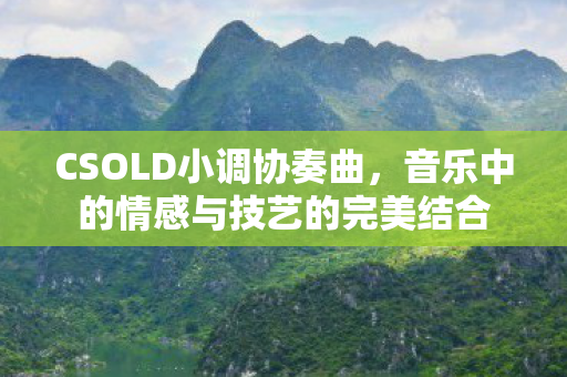 音乐中的情感与技艺的完美结合图片