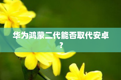 华为鸿蒙二代能否取代安卓图片
