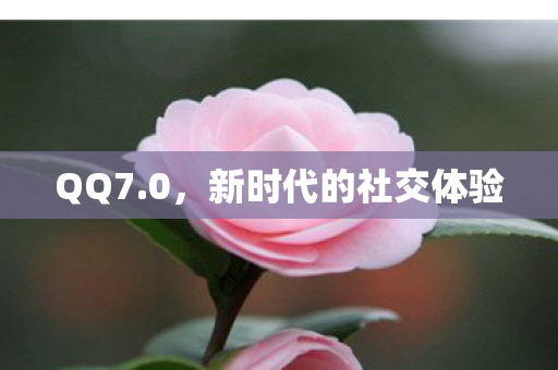 新时代的社交体验图片