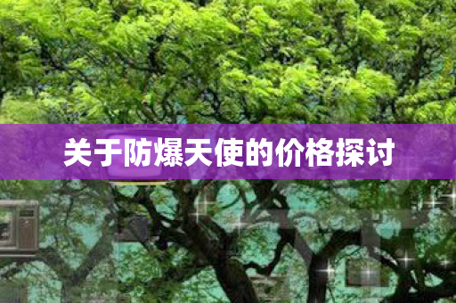 关于防爆天使的价格探讨图片