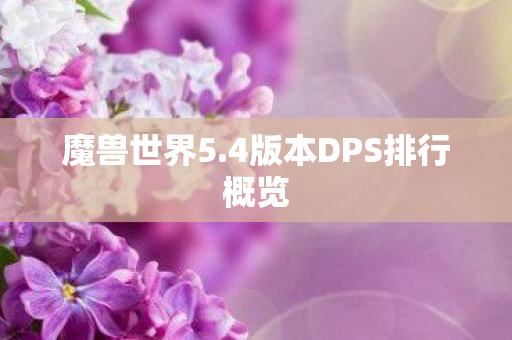 4版本DPS排行概览图片