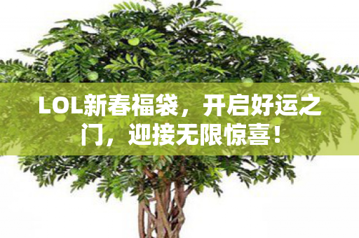 LOL新春福袋图片