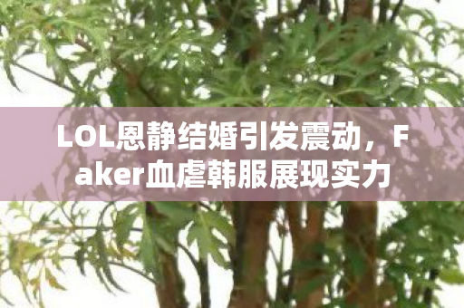 Faker血虐韩服展现实力图片