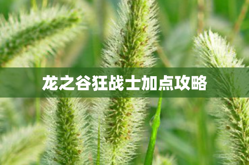 龙之谷狂战士加点攻略图片