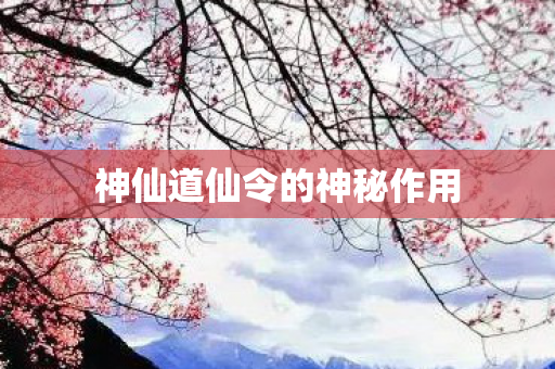 神仙道仙令的神秘作用图片