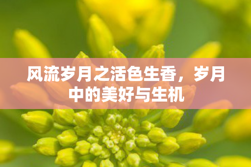 风流岁月之活色生香图片