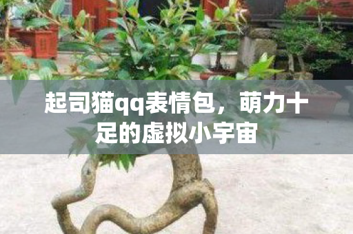 萌力十足的虚拟小宇宙图片