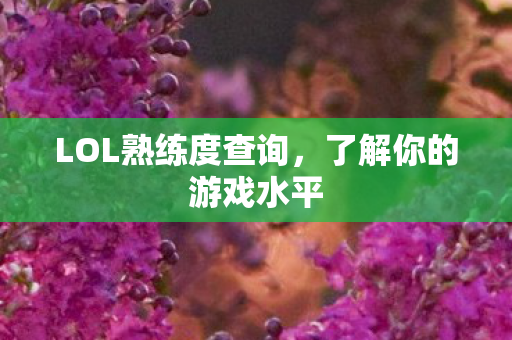 LOL熟练度查询图片