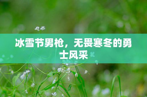 无畏寒冬的勇士风采图片