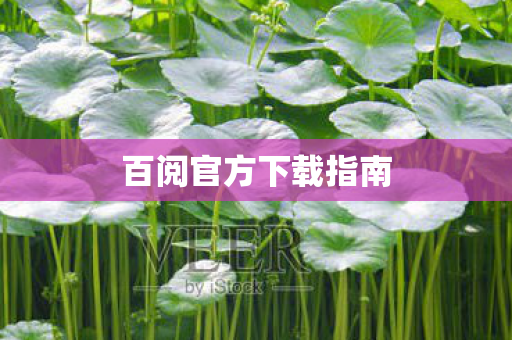 百阅官方下载指南图片