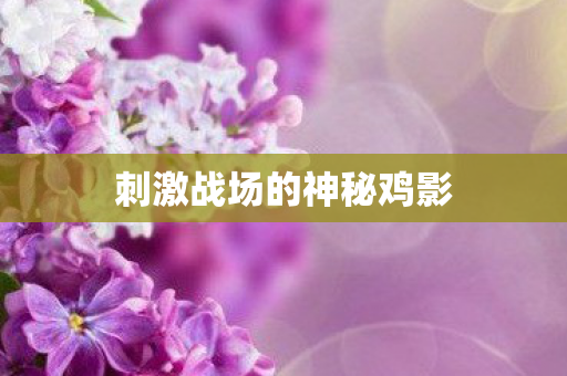 刺激战场的神秘鸡影图片