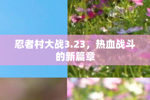 热血战斗的新篇章图片