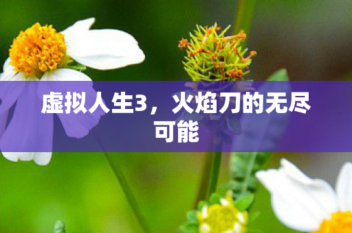 火焰刀的无尽可能图片