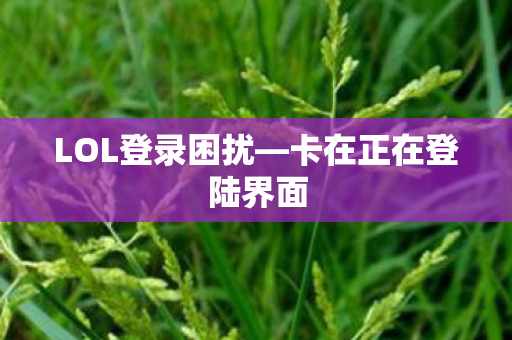 卡在正在登陆界面图片